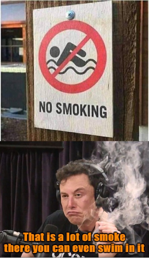 That's not smoking | That is a lot of smoke there you can even swim in it | image tagged in elon musk smoking a joint,memes,funny,smoking,swimming,you had one job | made w/ Imgflip meme maker