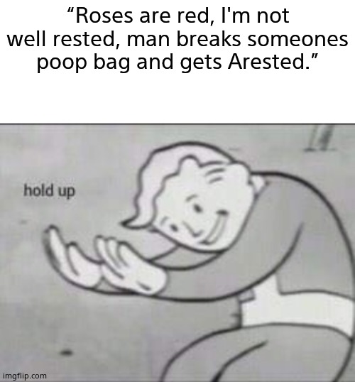 My bro made this poem |  “Roses are red, I'm not well rested, man breaks someones poop bag and gets Arested.” | image tagged in fallout hold up with space on the top | made w/ Imgflip meme maker