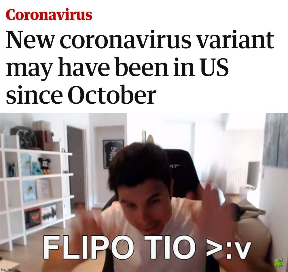 Bruh | image tagged in flipo tio | made w/ Imgflip meme maker