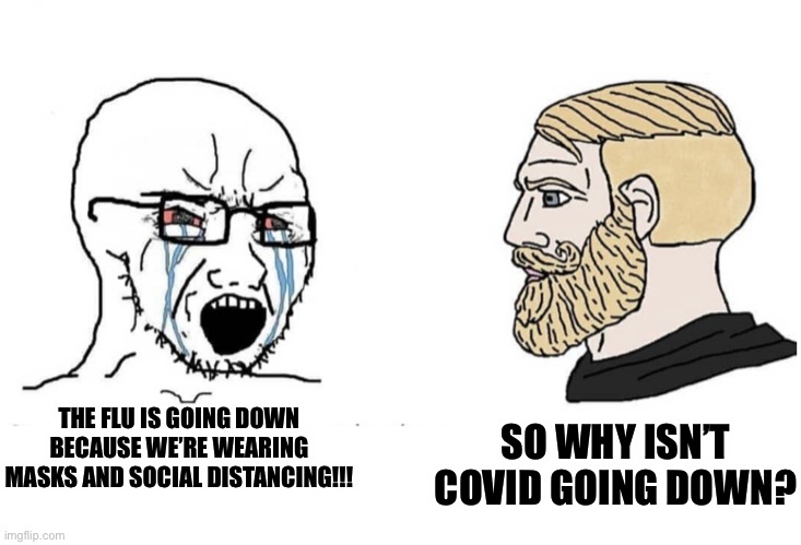 Soyboy Vs Yes Chad | THE FLU IS GOING DOWN BECAUSE WE’RE WEARING MASKS AND SOCIAL DISTANCING!!! SO WHY ISN’T COVID GOING DOWN? | image tagged in soyboy vs yes chad | made w/ Imgflip meme maker