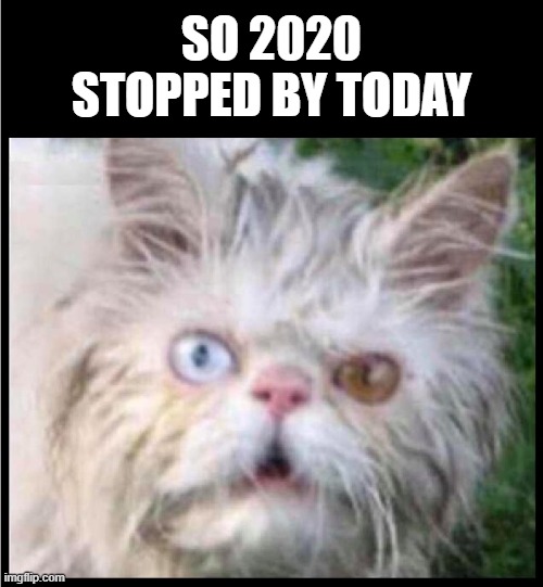  SO 2020 STOPPED BY TODAY | image tagged in 2020,2020 sucks,hangover,pandemic,quarantine,2021 | made w/ Imgflip meme maker