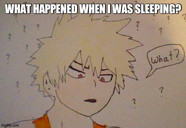 its 2pm for me i fell asleep oof | WHAT HAPPENED WHEN I WAS SLEEPING? | image tagged in bakugo what | made w/ Imgflip meme maker