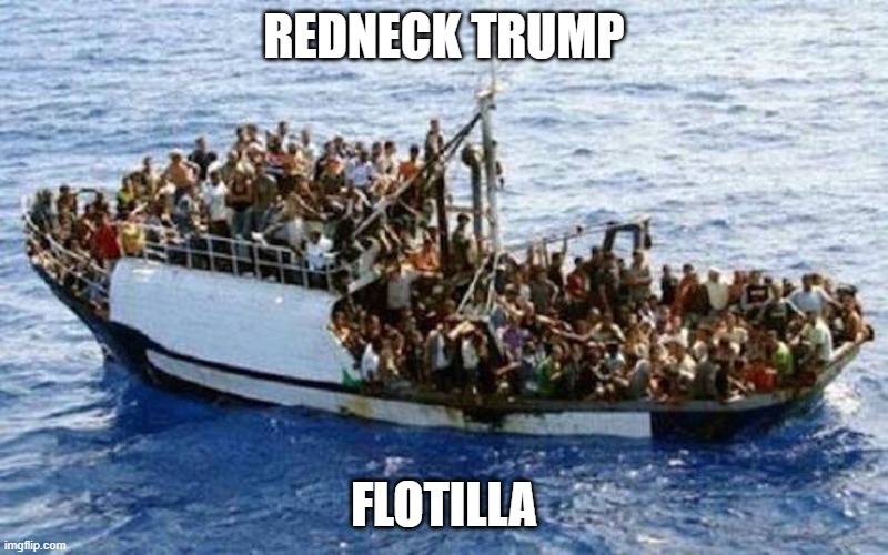 No-fly list blues | REDNECK TRUMP; FLOTILLA | image tagged in biden inaugural,no-fly list | made w/ Imgflip meme maker