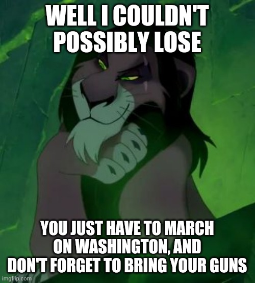 You are telling me scar lion king  | WELL I COULDN'T POSSIBLY LOSE; YOU JUST HAVE TO MARCH ON WASHINGTON, AND DON'T FORGET TO BRING YOUR GUNS | image tagged in you are telling me scar lion king | made w/ Imgflip meme maker