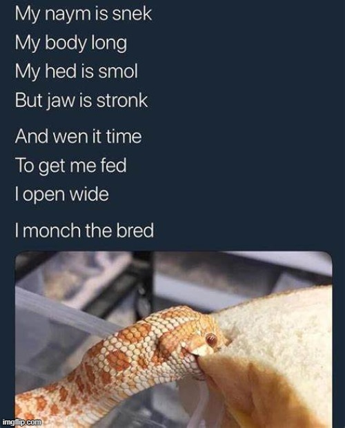 smol snek | made w/ Imgflip meme maker