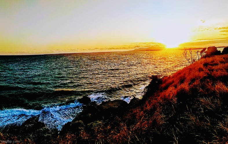 Took this back in April last year, probably my favorite picture | made w/ Imgflip meme maker