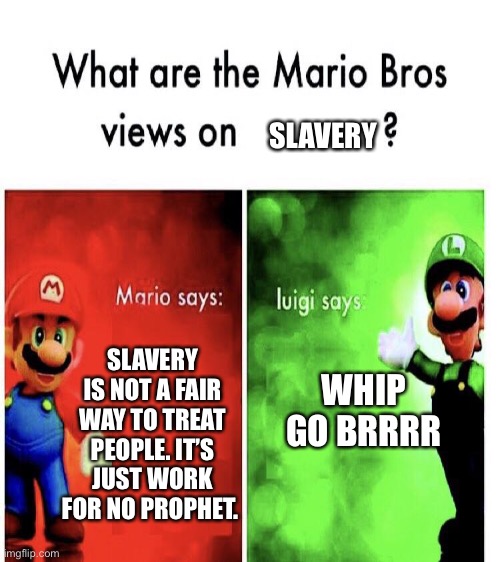 Mario bros | SLAVERY; SLAVERY IS NOT A FAIR WAY TO TREAT PEOPLE. IT’S JUST WORK FOR NO PROPHET. WHIP GO BRRRR | image tagged in mario bros views | made w/ Imgflip meme maker
