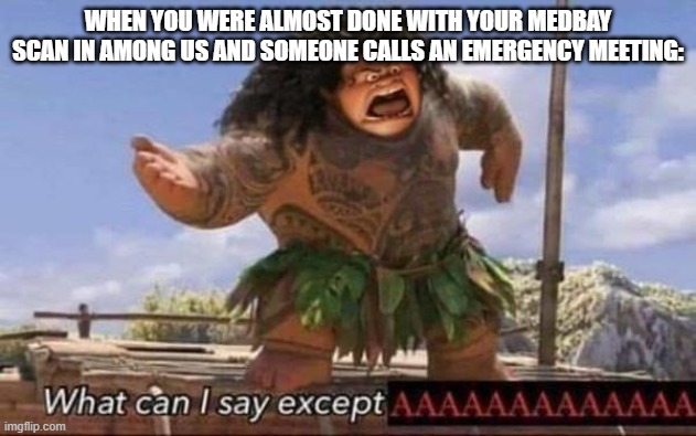 Relatable? | WHEN YOU WERE ALMOST DONE WITH YOUR MEDBAY SCAN IN AMONG US AND SOMEONE CALLS AN EMERGENCY MEETING: | image tagged in what can i say except aaaaaaaaaaaaaaaaaaaaaaaaaaaaaaaaa | made w/ Imgflip meme maker