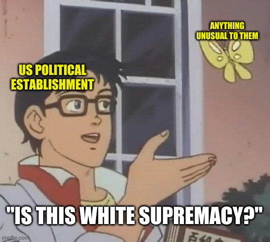 Is This White Supremacy? | ANYTHING UNUSUAL TO THEM; US POLITICAL ESTABLISHMENT; "IS THIS WHITE SUPREMACY?" | image tagged in memes,is this a pigeon,poitics,white supremacy,people are stupid | made w/ Imgflip meme maker