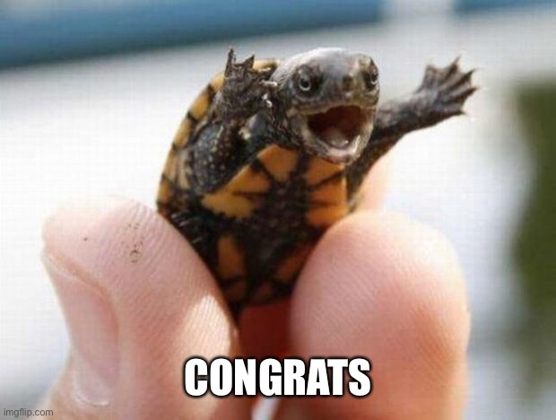 happy baby turtle | CONGRATS | image tagged in happy baby turtle | made w/ Imgflip meme maker