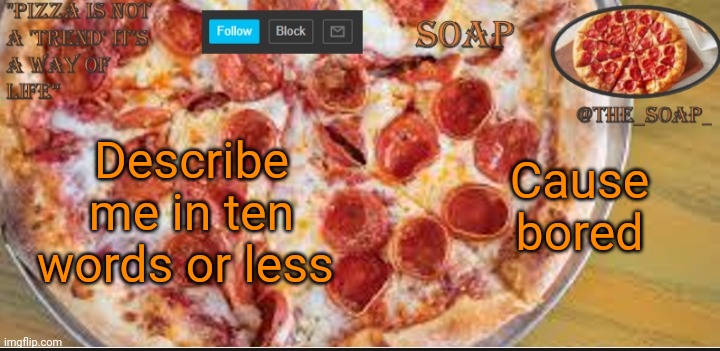 Soaps pizza template | Describe me in ten words or less; Cause bored | image tagged in soaps pizza template | made w/ Imgflip meme maker