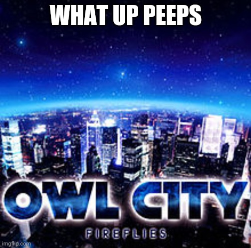 Owl city | WHAT UP PEEPS | image tagged in owl city | made w/ Imgflip meme maker