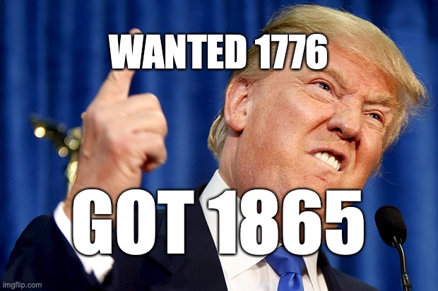 So Much Winning | WANTED 1776; GOT 1865 | image tagged in donald trump,riots,election 2020 | made w/ Imgflip meme maker
