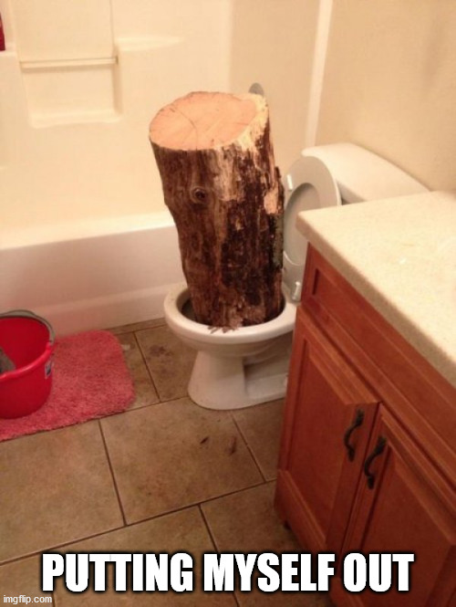 Toilet log | PUTTING MYSELF OUT | image tagged in toilet log | made w/ Imgflip meme maker