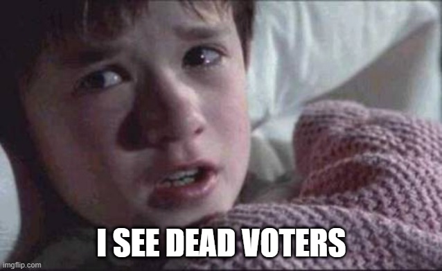 I see dead voters | I SEE DEAD VOTERS | image tagged in memes,i see dead people | made w/ Imgflip meme maker
