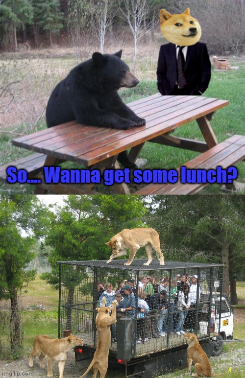 O.o | So.... Wanna get some lunch? | image tagged in memes,bad luck bear,kitty cat lunch box | made w/ Imgflip meme maker
