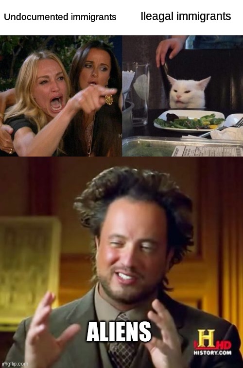 Undocumented immigrants; Ileagal immigrants; ALIENS | image tagged in memes,woman yelling at cat,ancient aliens | made w/ Imgflip meme maker