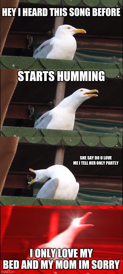 Inhaling Seagull | HEY I HEARD THIS SONG BEFORE; STARTS HUMMING; SHE SAY DO U LOVE ME I TELL HER ONLY PARTLY; I ONLY LOVE MY BED AND MY MOM IM SORRY | image tagged in memes,inhaling seagull | made w/ Imgflip meme maker