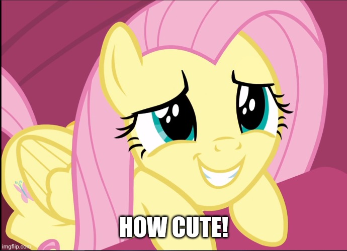 HOW CUTE! | made w/ Imgflip meme maker