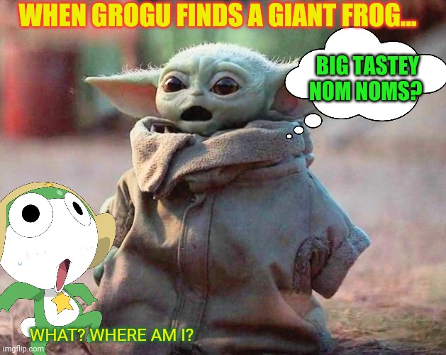 Grogu | WHEN GROGU FINDS A GIANT FROG... BIG TASTEY NOM NOMS? WHAT? WHERE AM I? | image tagged in surprised baby yoda,grogu,sgt frog,star wars,nom nom nom | made w/ Imgflip meme maker