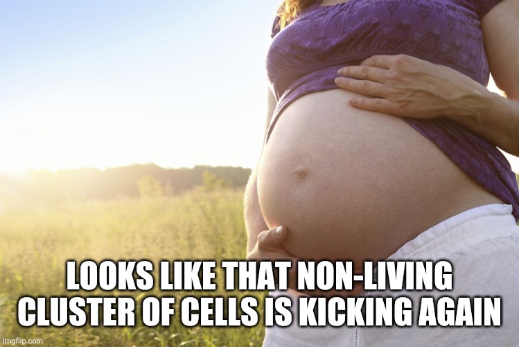 Pregnant Woman | LOOKS LIKE THAT NON-LIVING CLUSTER OF CELLS IS KICKING AGAIN | image tagged in pregnant woman | made w/ Imgflip meme maker