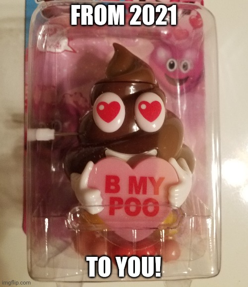 Poo | FROM 2021; TO YOU! | image tagged in poop emoji | made w/ Imgflip meme maker