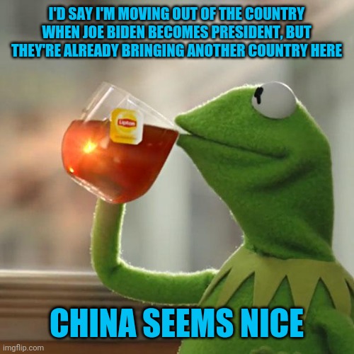 But That's None Of My Business | I'D SAY I'M MOVING OUT OF THE COUNTRY WHEN JOE BIDEN BECOMES PRESIDENT, BUT THEY'RE ALREADY BRINGING ANOTHER COUNTRY HERE; CHINA SEEMS NICE | image tagged in memes,but that's none of my business,kermit the frog | made w/ Imgflip meme maker