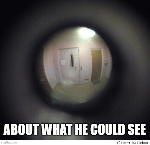 Party of the Peephole | ABOUT WHAT HE COULD SEE | image tagged in party of the peephole | made w/ Imgflip meme maker