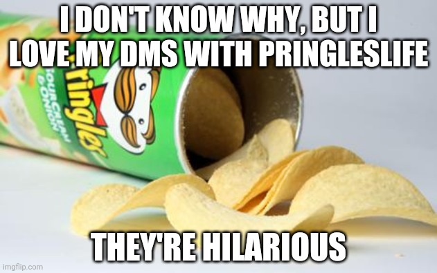 And they're so fun to talk to | I DON'T KNOW WHY, BUT I LOVE MY DMS WITH PRINGLESLIFE; THEY'RE HILARIOUS | image tagged in pringles | made w/ Imgflip meme maker