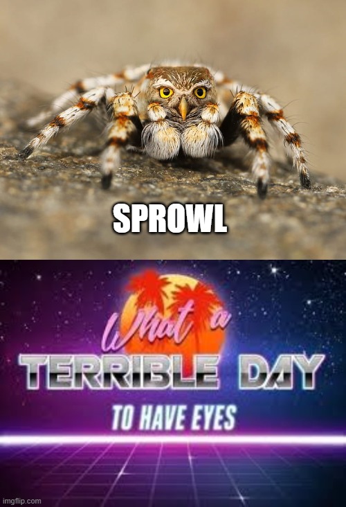 REVENGE OF THE SPROWL! | SPROWL | image tagged in what a terrible day to have eyes | made w/ Imgflip meme maker