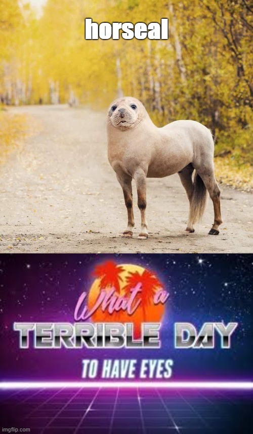horseal | horseal | image tagged in what a terrible day to have eyes | made w/ Imgflip meme maker