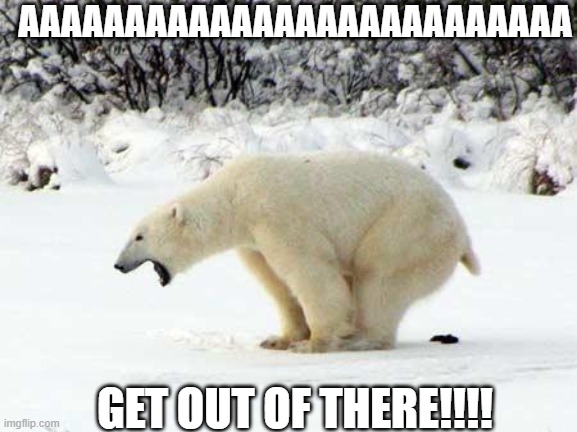 Polar Bear Poop Meme | AAAAAAAAAAAAAAAAAAAAAAAAAA; GET OUT OF THERE!!!! | image tagged in polar bear shits in the snow,memes | made w/ Imgflip meme maker