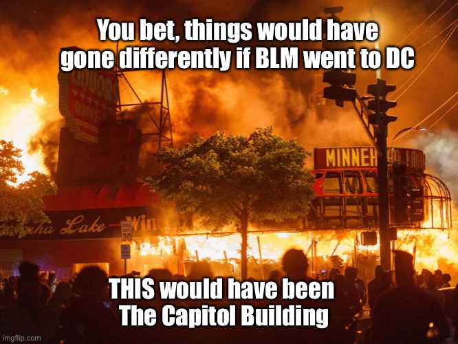 Democrat policies | You bet, things would have gone differently if BLM went to DC; THIS would have been 
The Capitol Building | image tagged in democrat policies | made w/ Imgflip meme maker