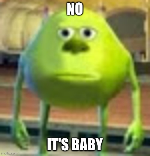 Sully Wazowski | NO IT'S BABY | image tagged in sully wazowski | made w/ Imgflip meme maker