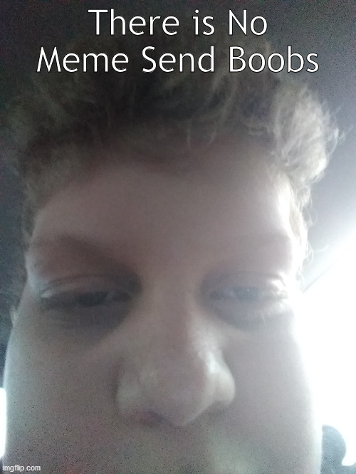 Send boobs | There is No Meme Send Boobs | image tagged in memes | made w/ Imgflip meme maker