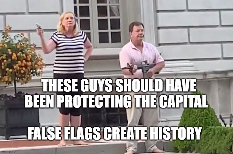 St. Louis couple | THESE GUYS SHOULD HAVE BEEN PROTECTING THE CAPITAL; FALSE FLAGS CREATE HISTORY | image tagged in st louis couple | made w/ Imgflip meme maker