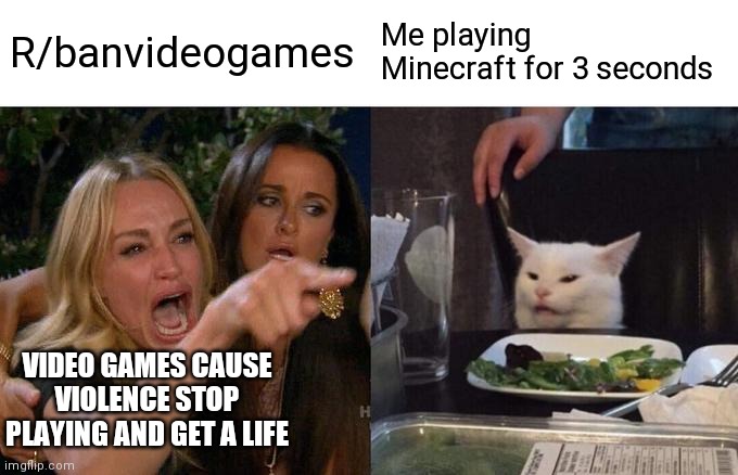 R/banvideogames Is bad | R/banvideogames; Me playing Minecraft for 3 seconds; VIDEO GAMES CAUSE VIOLENCE STOP PLAYING AND GET A LIFE | image tagged in memes,woman yelling at cat | made w/ Imgflip meme maker
