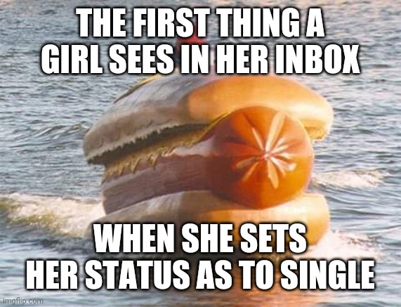 Weenie | THE FIRST THING A GIRL SEES IN HER INBOX; WHEN SHE SETS HER STATUS AS TO SINGLE | image tagged in single | made w/ Imgflip meme maker