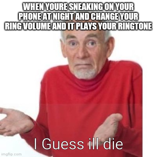 This happened to me and oof it wasnt fun | WHEN YOURE SNEAKING ON YOUR PHONE AT NIGHT AND CHANGE YOUR RING VOLUME AND IT PLAYS YOUR RINGTONE; I Guess ill die | image tagged in i guess ill die | made w/ Imgflip meme maker