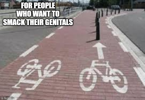 Rough Ride | FOR PEOPLE WHO WANT TO SMACK THEIR GENITALS | image tagged in you had one job | made w/ Imgflip meme maker