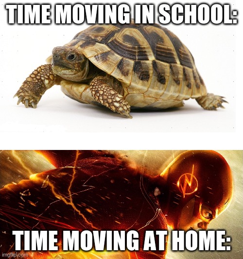 I hate school, it's so s l o w | TIME MOVING IN SCHOOL:; TIME MOVING AT HOME: | image tagged in slow vs fast meme | made w/ Imgflip meme maker