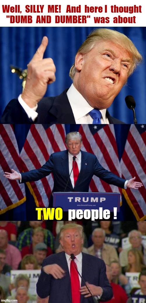 Well -- Silly Me ... | Well,  SILLY  ME!   And  here I  thought
"DUMB  AND  DUMBER"  was  about; TWO; people ! | image tagged in donald trump,trump disabled,rick75230 | made w/ Imgflip meme maker