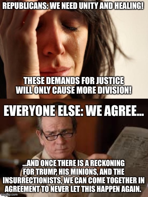 Lest there be any confusion | REPUBLICANS: WE NEED UNITY AND HEALING! THESE DEMANDS FOR JUSTICE WILL ONLY CAUSE MORE DIVISION! EVERYONE ELSE: WE AGREE... ...AND ONCE THERE IS A RECKONING FOR TRUMP, HIS MINIONS, AND THE INSURRECTIONISTS, WE CAN COME TOGETHER IN AGREEMENT TO NEVER LET THIS HAPPEN AGAIN. | image tagged in memes,first world problems,no country for old men tommy lee jones,insurrection,capitol hill | made w/ Imgflip meme maker