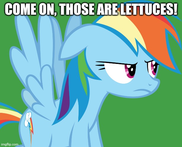 Annoyed Rainbow Dash (MLP) | COME ON, THOSE ARE LETTUCES! | image tagged in annoyed rainbow dash mlp | made w/ Imgflip meme maker