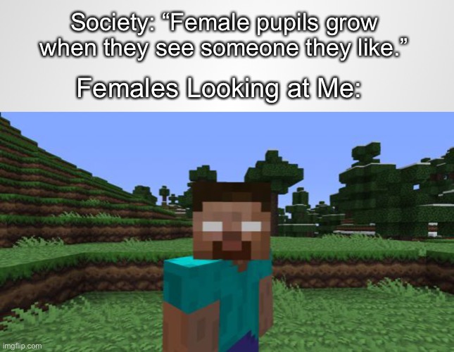 truth | Society: “Female pupils grow when they see someone they like.”; Females Looking at Me: | image tagged in herobrine,minecraft,funny,memes | made w/ Imgflip meme maker