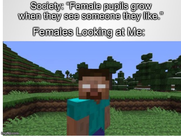 this meme should be worthy to be on a video!! | image tagged in herobrine,minecraft,funny,memes | made w/ Imgflip meme maker