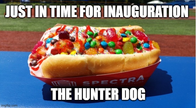 The smartest guy you Know? | JUST IN TIME FOR INAUGURATION; THE HUNTER DOG | image tagged in joe biden,laptop,donald trump,election 2020 | made w/ Imgflip meme maker