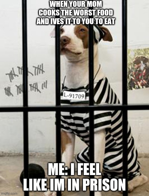 Dog In Prison | WHEN YOUR MOM COOKS THE WORST FOOD AND IVES IT TO YOU TO EAT; ME: I FEEL LIKE IM IN PRISON | image tagged in dog in prison | made w/ Imgflip meme maker