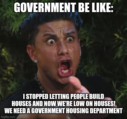 DJ Pauly D Meme | GOVERNMENT BE LIKE: I STOPPED LETTING PEOPLE BUILD HOUSES AND NOW WE'RE LOW ON HOUSES! WE NEED A GOVERNMENT HOUSING DEPARTMENT | image tagged in memes,dj pauly d | made w/ Imgflip meme maker