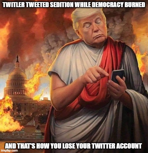 Twitler no more | TWITLER TWEETED SEDITION WHILE DEMOCRACY BURNED; AND THAT'S HOW YOU LOSE YOUR TWITTER ACCOUNT | image tagged in trump,twitter,sedition,democracy | made w/ Imgflip meme maker
